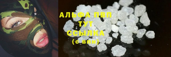 spice Аркадак