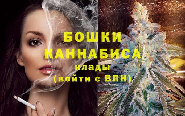 spice Аркадак